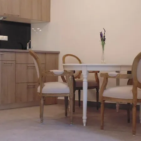 Apartman Downtown Luxury