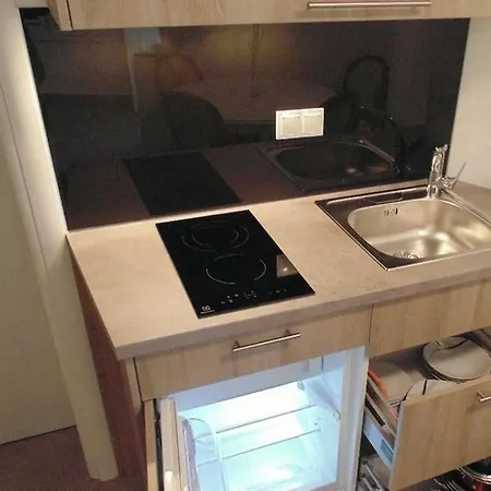 Downtown Luxury Apartment
